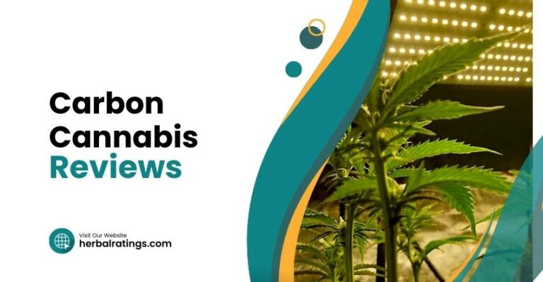 Carbon Cannabis Reviews: A Comprehensive Guide For Newbies